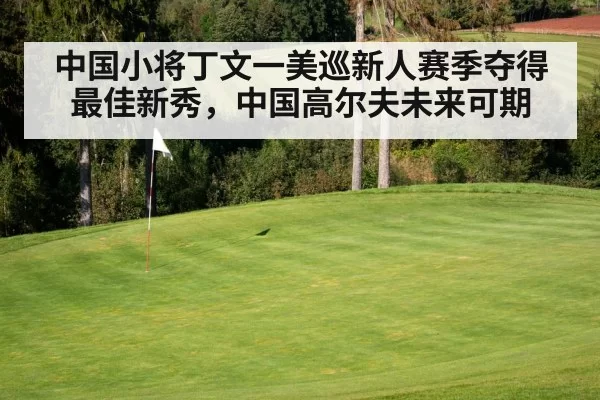 中国小将丁文一美巡新人赛季夺得最佳新秀，中国高尔夫未来可期