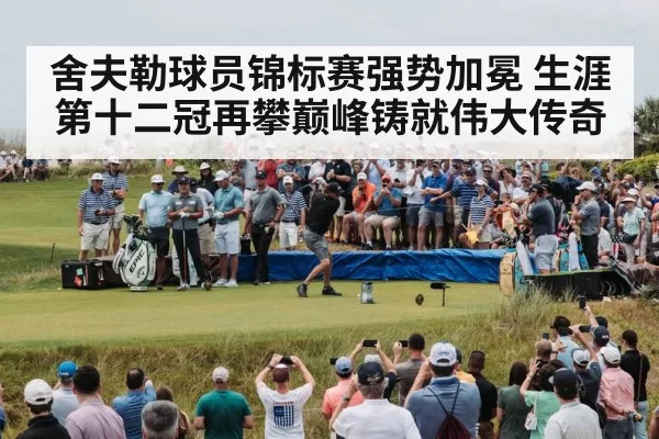 舍夫勒球员锦标赛强势加冕 生涯第十二冠再攀巅峰铸就伟大传奇